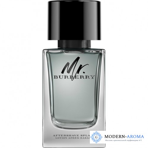 Burberry Mr. Burberry