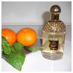 Guerlain Aqua Allegoria Mandarine Basilic