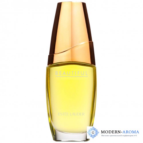 Estee Lauder Beautiful